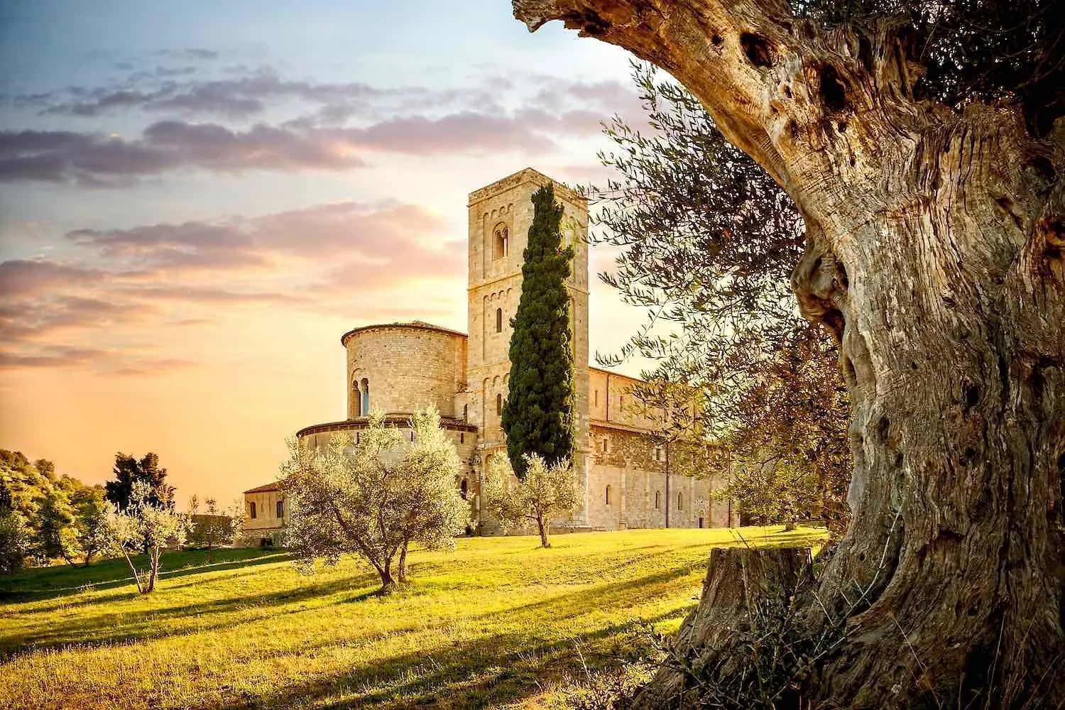 Corte Francigena Montalcino Apartment